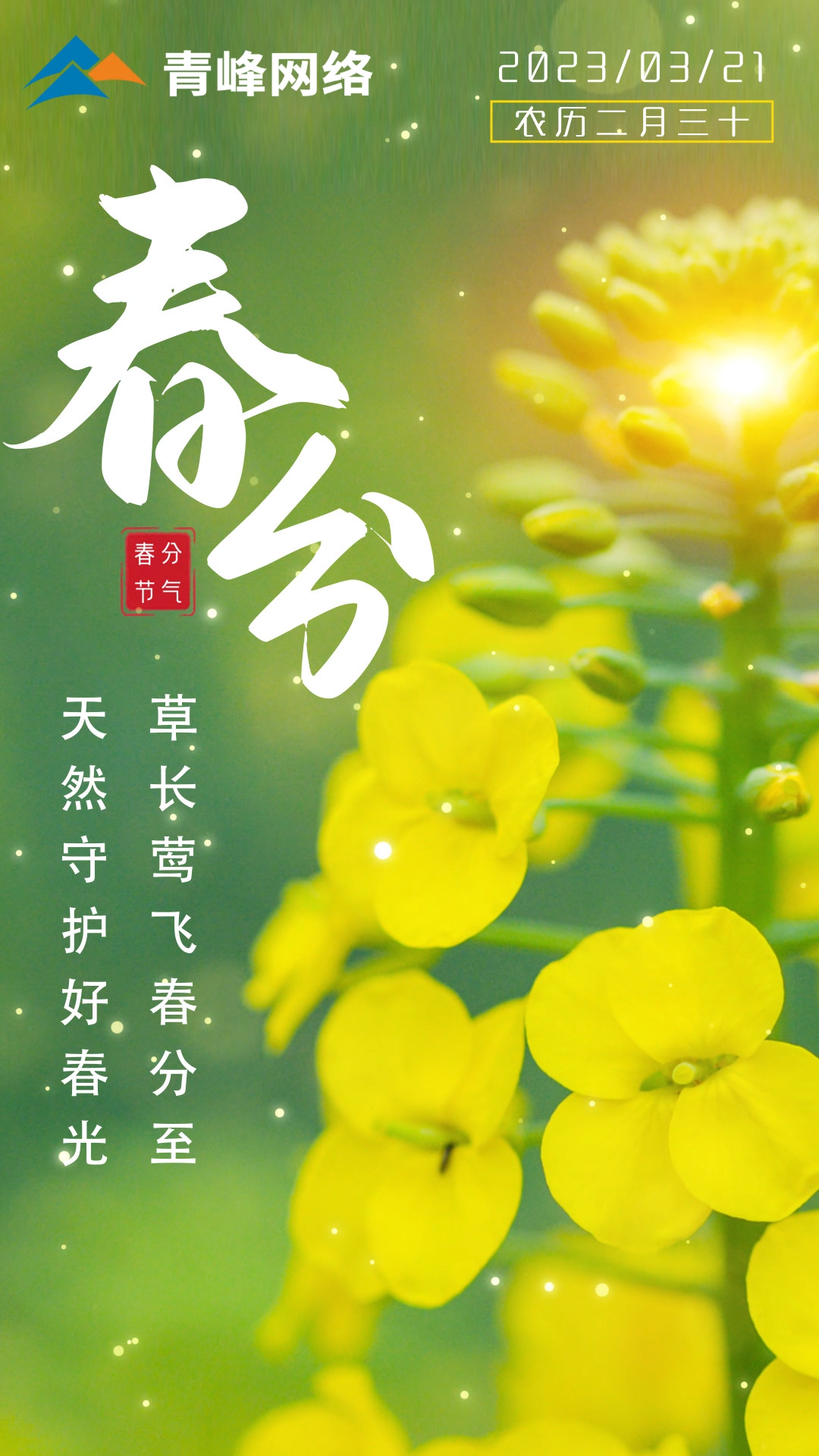 【春分】草長鶯飛春分至，天然守護好春光。