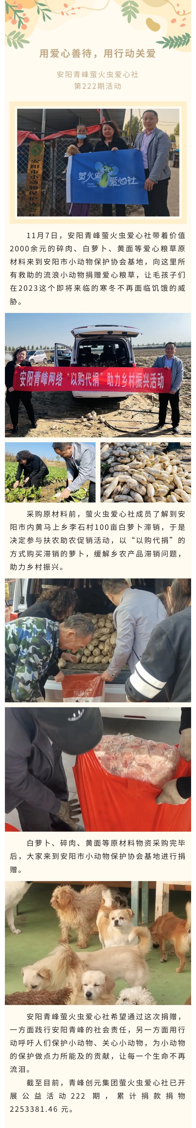 用愛心善待，用行動關愛--青峰創元集團螢火蟲愛心活動第222期報道